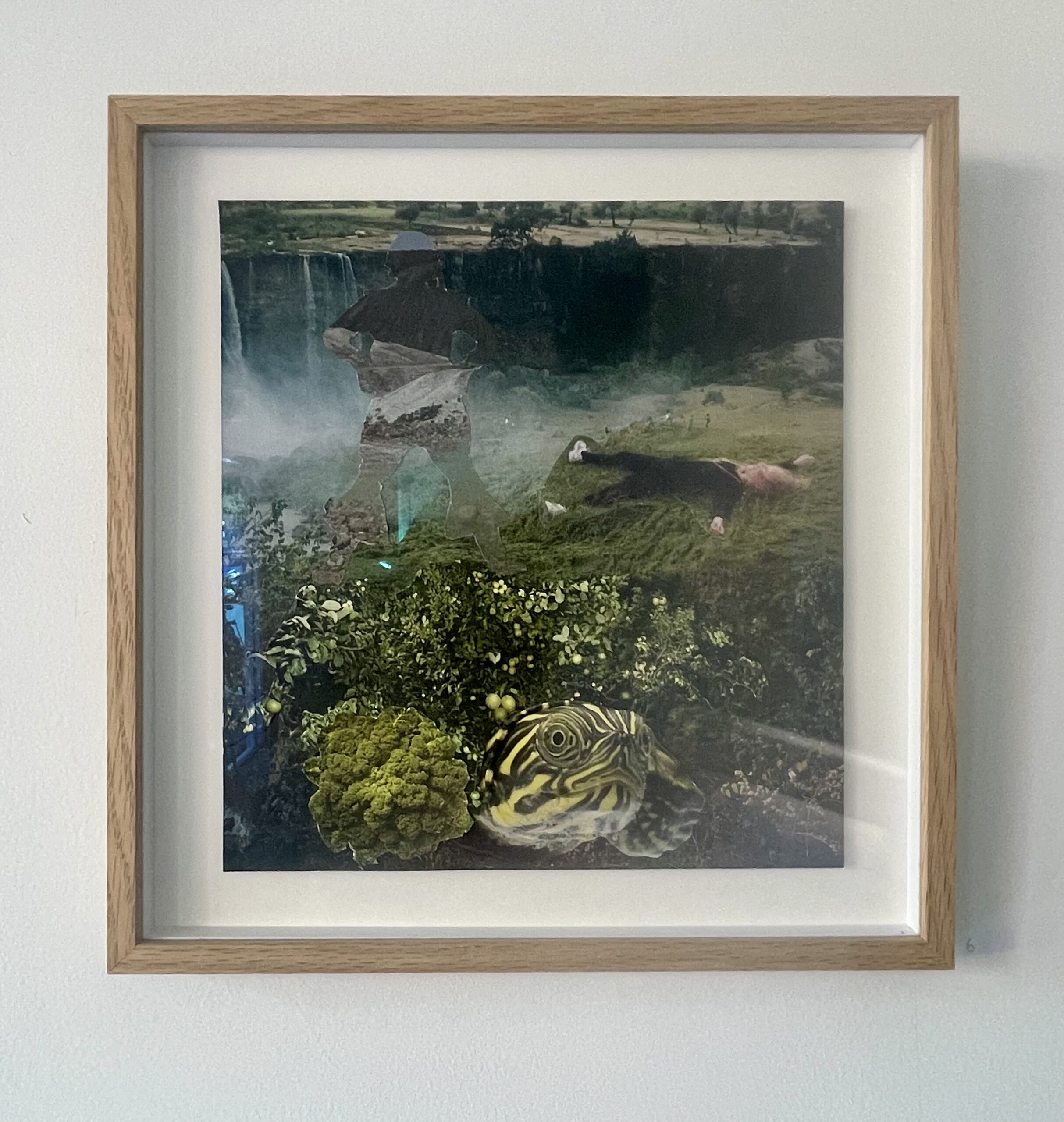 Second Nature I